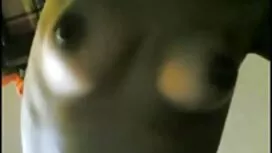 Bruna di lusso, porn ...