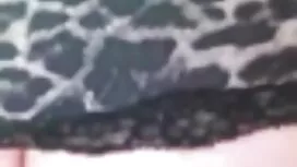 La MAMMA ha permesso ...